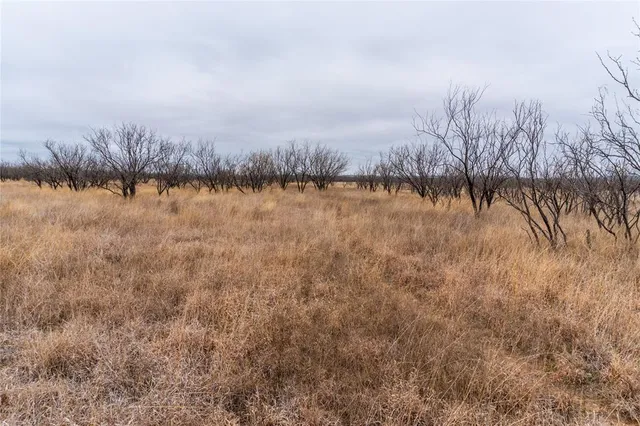 a view of lake with green space