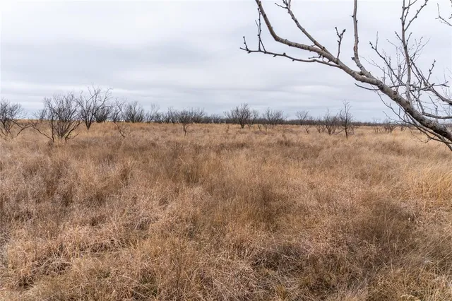 a view of lake and mountain