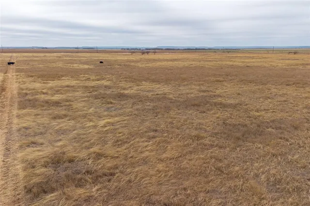 a view of beach with an ocean