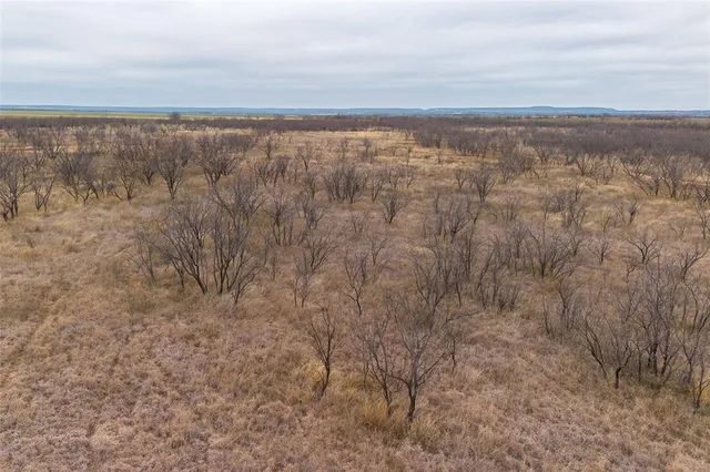 a view of city and mountain