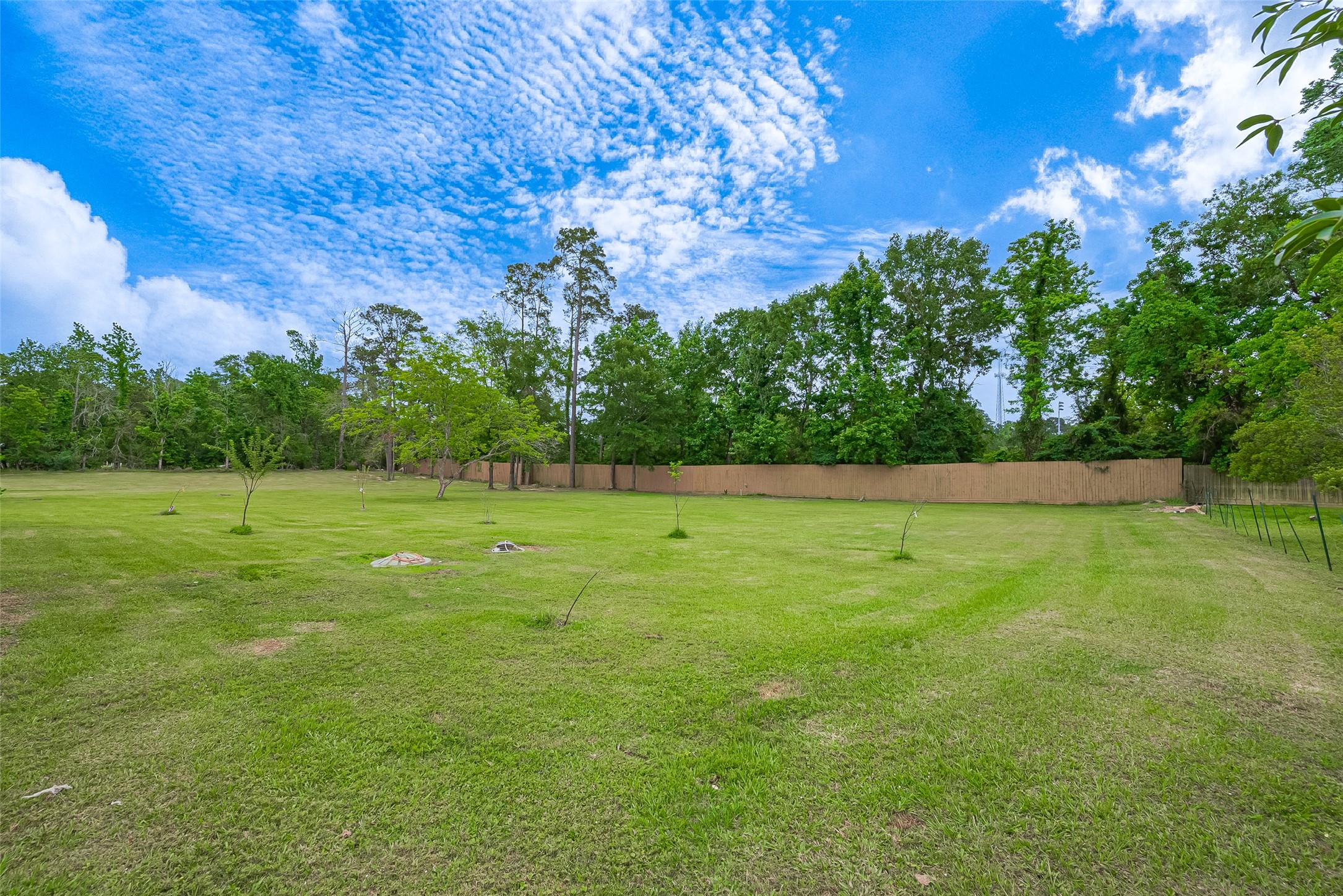 2499 Southline Road Conroe, TX 77384 - Photo 43 of 48 a view of a green field