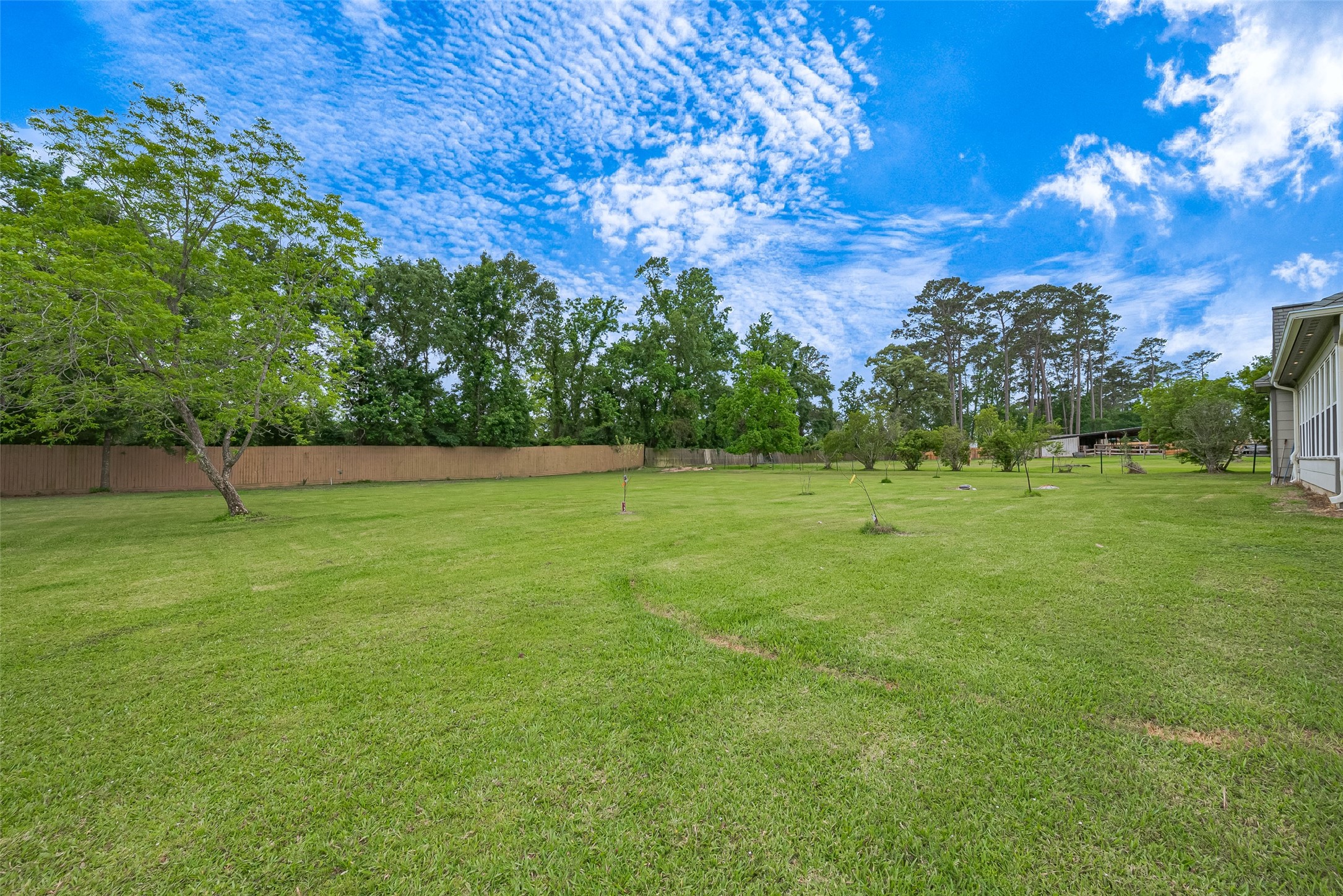 2499 Southline Road Conroe, TX 77384 - Photo 47 of 48 a view of a green field