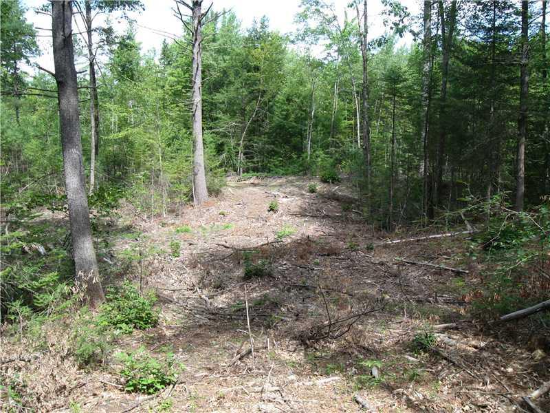 Tbd Middle Road Steep Falls, ME 04085 - Photo 4 of 8 Land/Lot.