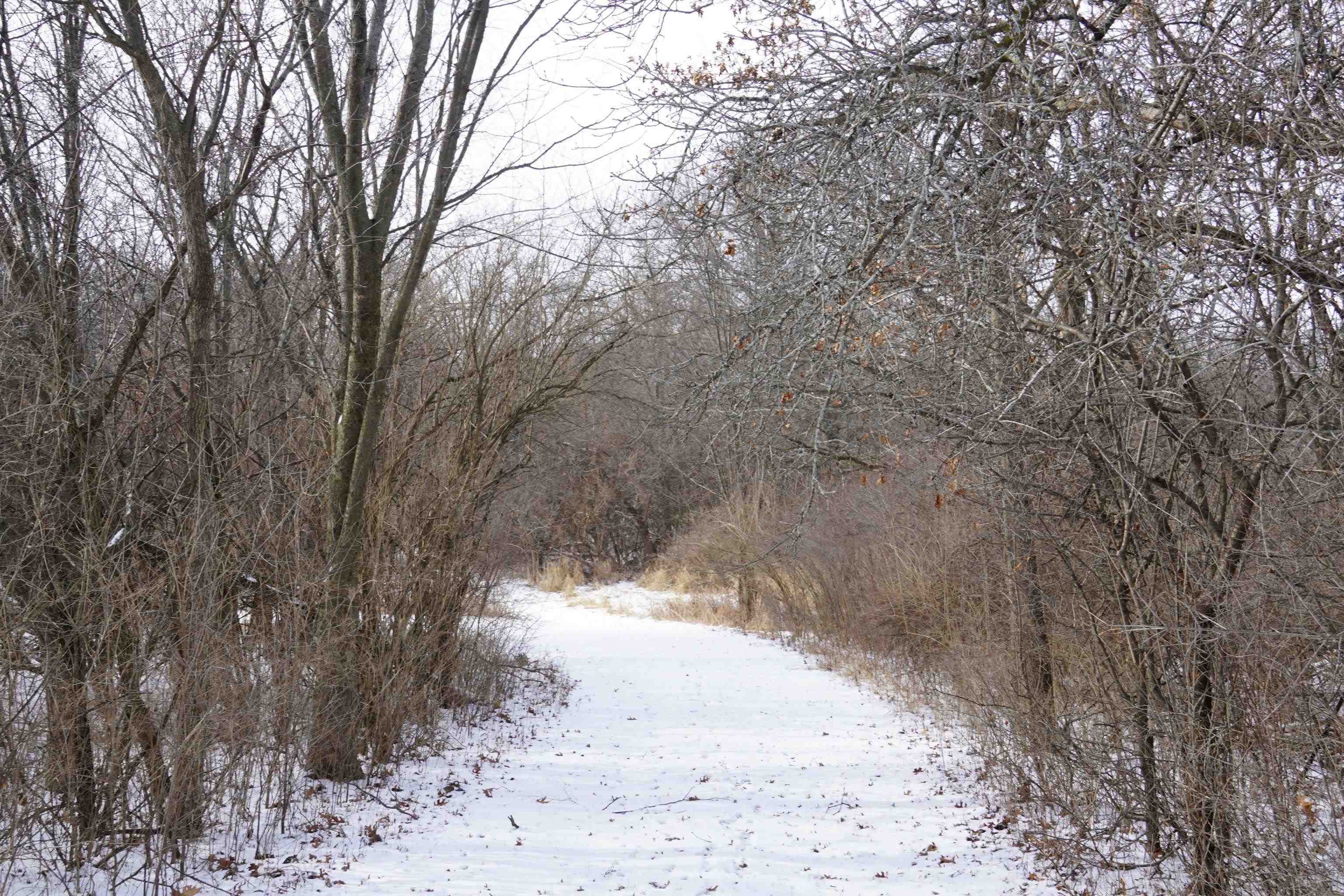 4247 Centerville Road Rockford, IL 61102 - Photo 20 of 28