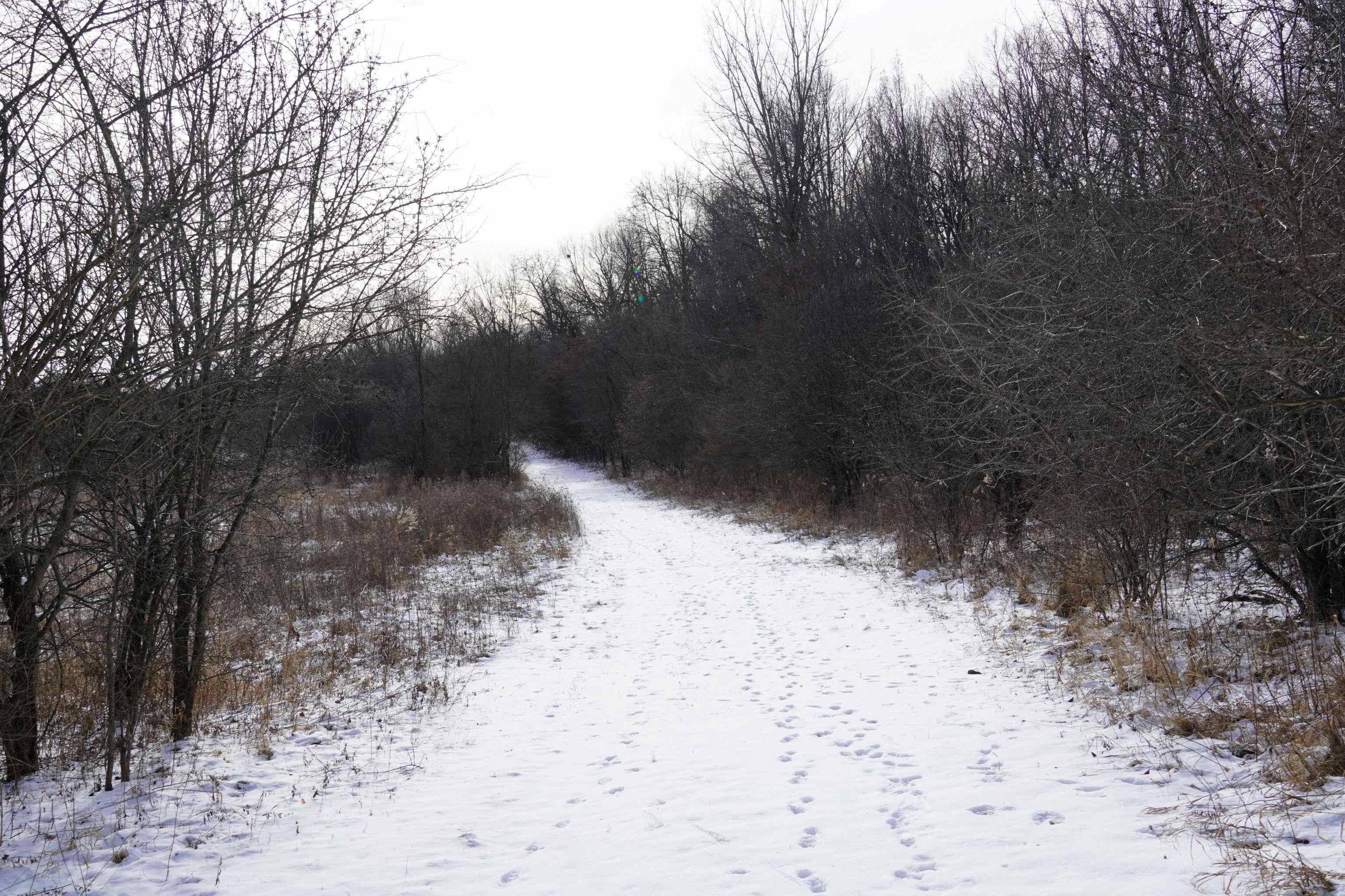 4247 Centerville Road Rockford, IL 61102 - Photo 27 of 28