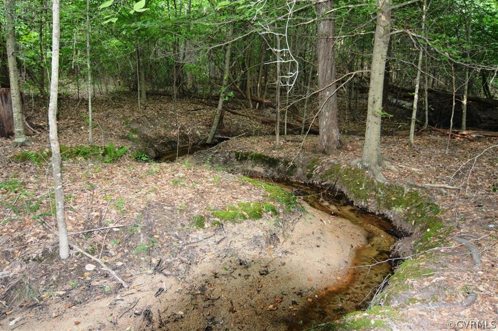 96-acres Courthouse Road Dinwiddie, VA 23841 - Photo 12 of 47