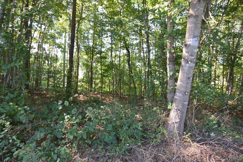 96-acres Courthouse Road Dinwiddie, VA 23841 - Photo 14 of 47
