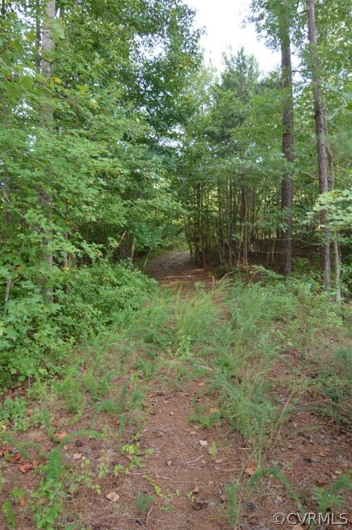 96-acres Courthouse Road Dinwiddie, VA 23841 - Photo 17 of 47