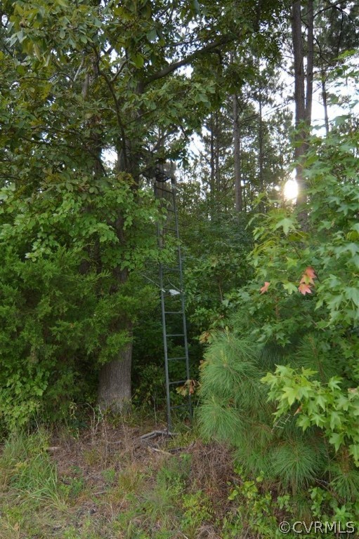 96-acres Courthouse Road Dinwiddie, VA 23841 - Photo 30 of 47