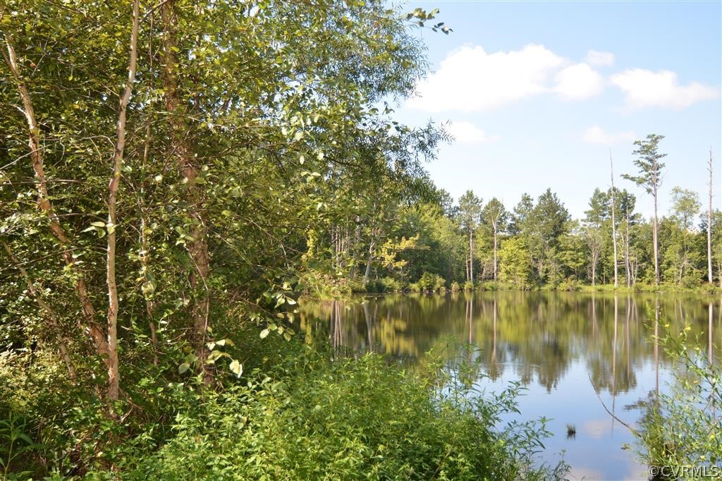 96-acres Courthouse Road Dinwiddie, VA 23841 - Photo 3 of 47 a view of lake