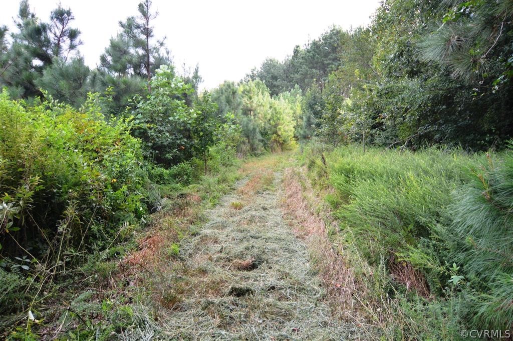 96-acres Courthouse Road Dinwiddie, VA 23841 - Photo 33 of 47