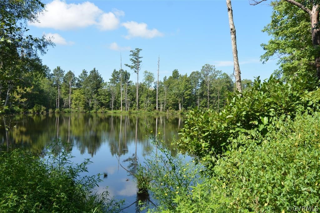 96-acres Courthouse Road Dinwiddie, VA 23841 - Photo 4 of 47 a view of a lake in between two large trees