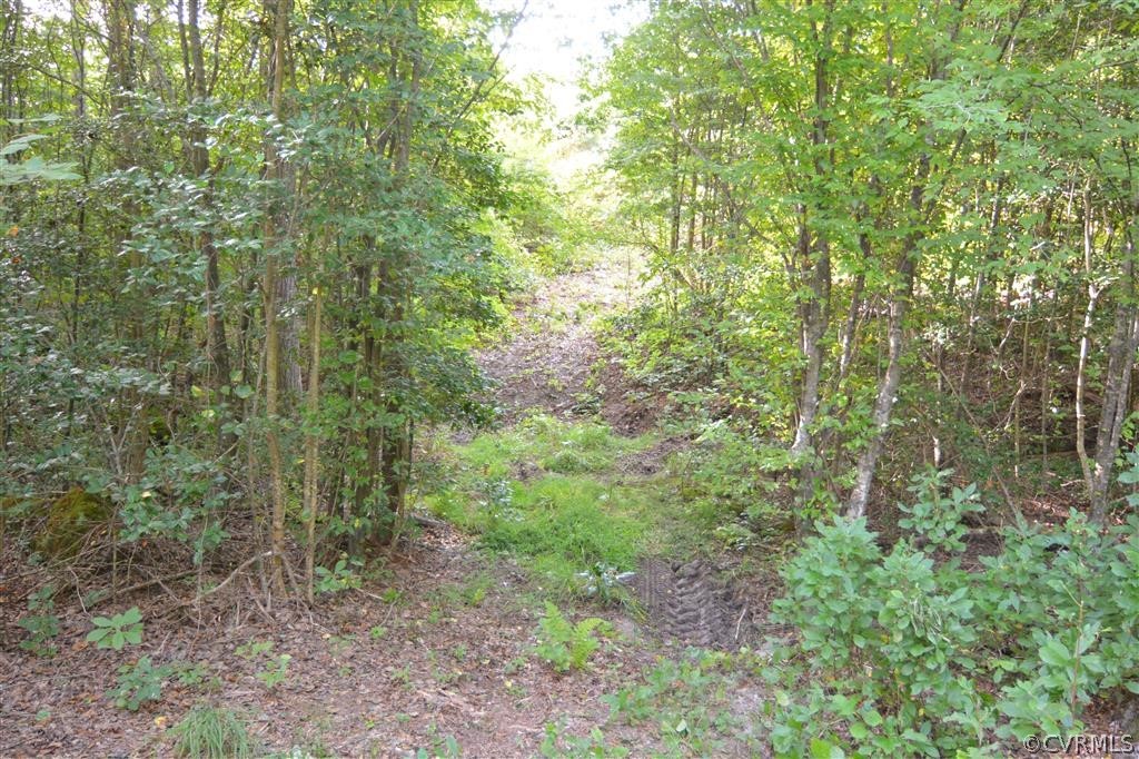 96-acres Courthouse Road Dinwiddie, VA 23841 - Photo 42 of 47