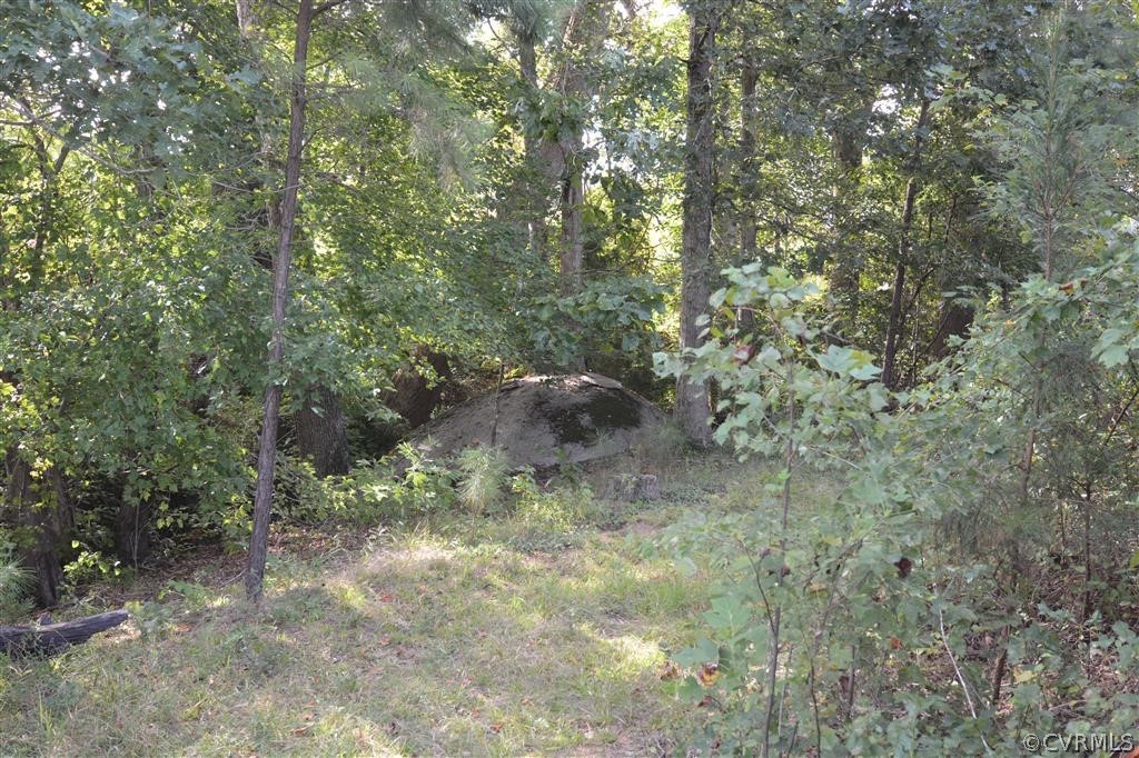 96-acres Courthouse Road Dinwiddie, VA 23841 - Photo 44 of 47