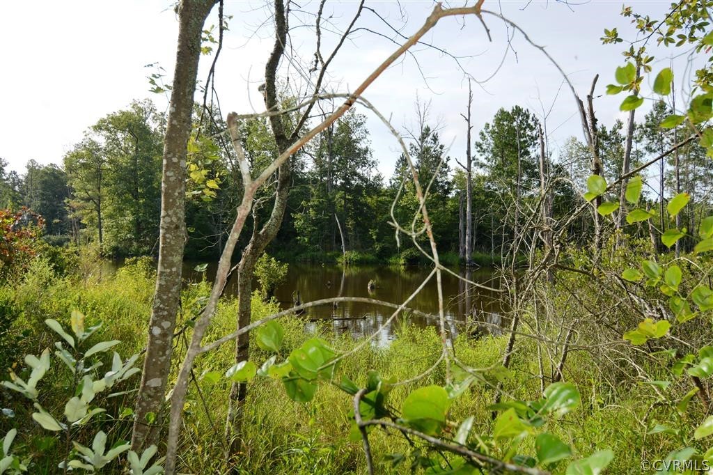 96-acres Courthouse Road Dinwiddie, VA 23841 - Photo 46 of 47