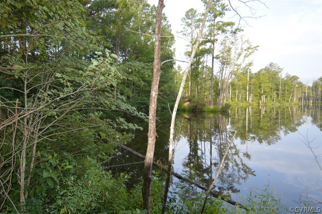 96-acres Courthouse Road Dinwiddie, VA 23841 - Photo 5 of 47 a view of lake from a lake