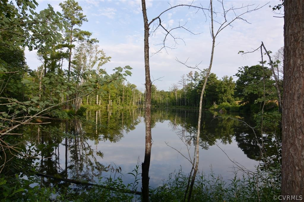 96-acres Courthouse Road Dinwiddie, VA 23841 - Photo 6 of 47 a view of lake from a lake