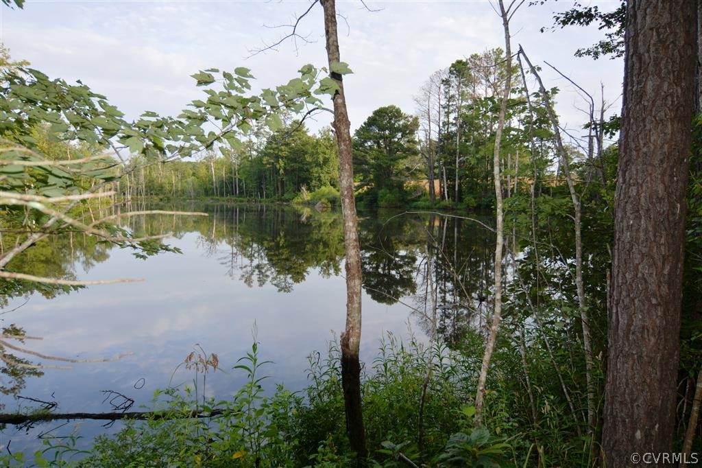 96-acres Courthouse Road Dinwiddie, VA 23841 - Photo 7 of 47 a body of water with a tree in the background