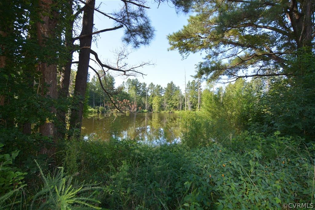 96-acres Courthouse Road Dinwiddie, VA 23841 - Photo 10 of 47