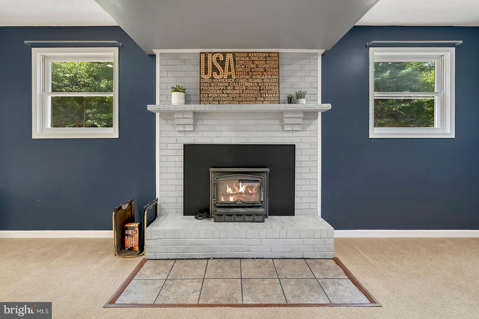 636 Hope Road Stafford, VA 22554 - Photo 24 of 43 Cozy wood stove insert in basement rec room