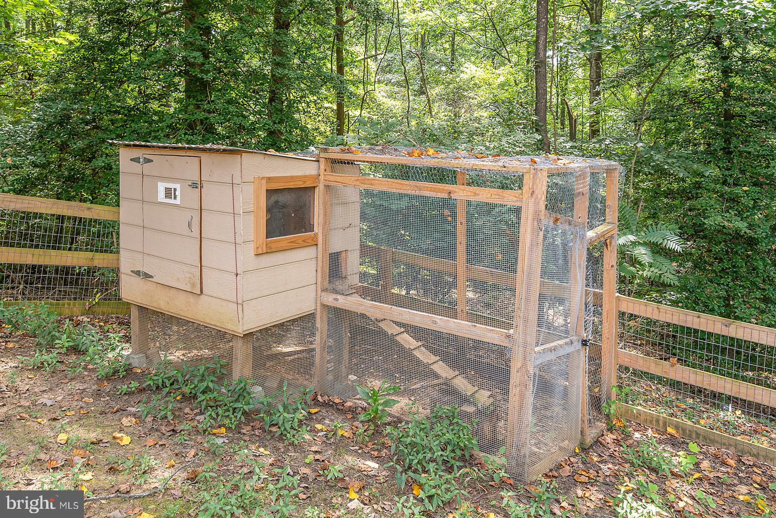 636 Hope Road Stafford, VA 22554 - Photo 39 of 43 Bring the chickens!