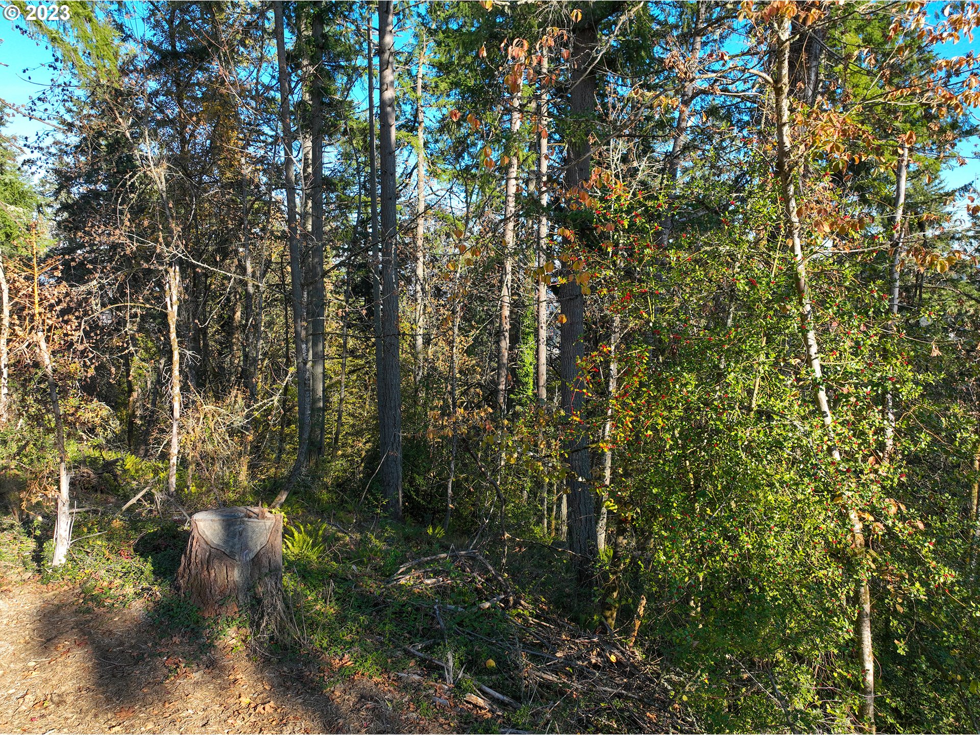 2645 Cupola Drive, Unit 13 Eugene, OR 97403 - Photo 4 of 9