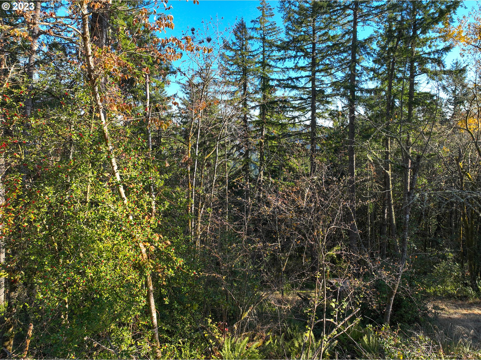 2645 Cupola Drive, Unit 13 Eugene, OR 97403 - Photo 6 of 9