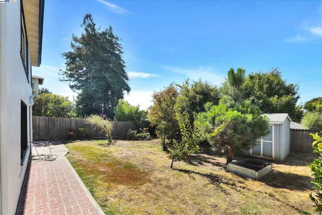 a view of a small house in the forest