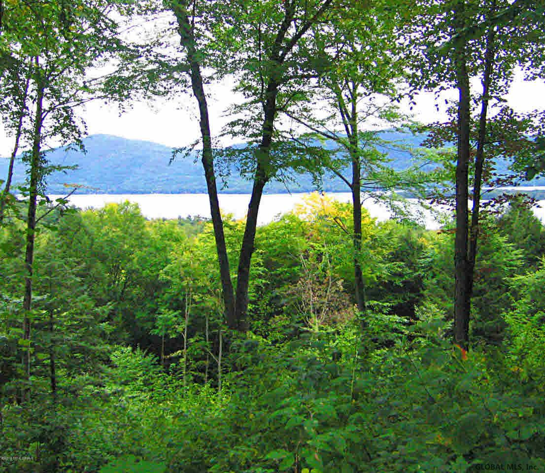 6 Diamond Ridge Ridge Diamond Point, NY 12824 - Photo 8 of 17 Photo 8