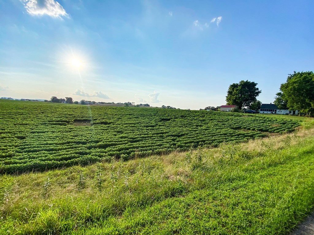 3 Flat Gap Road New Market, TN 37820 - Photo 2 of 7 Gallery Image 2