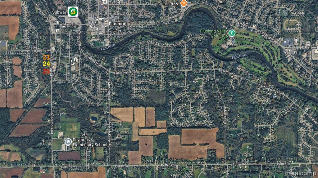 Vacant Land Seymour (parcel 25) Road Flushing, MI 48433 - Photo 4 of 4