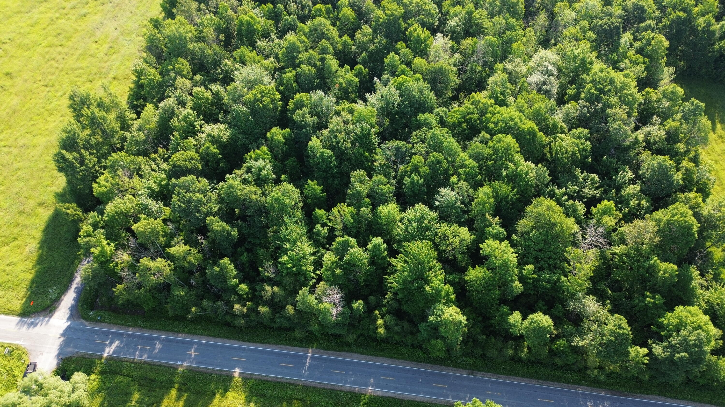 . Lost Nation Road Churubusco, NY 12923 - Photo 6 of 34 DJI_0468