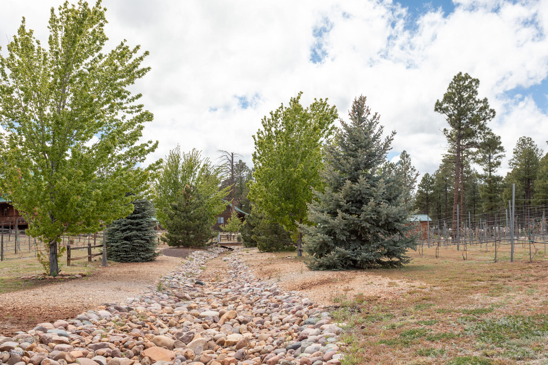 2272 Highway 260 Overgaard, AZ 85933 - Photo 28 of 43