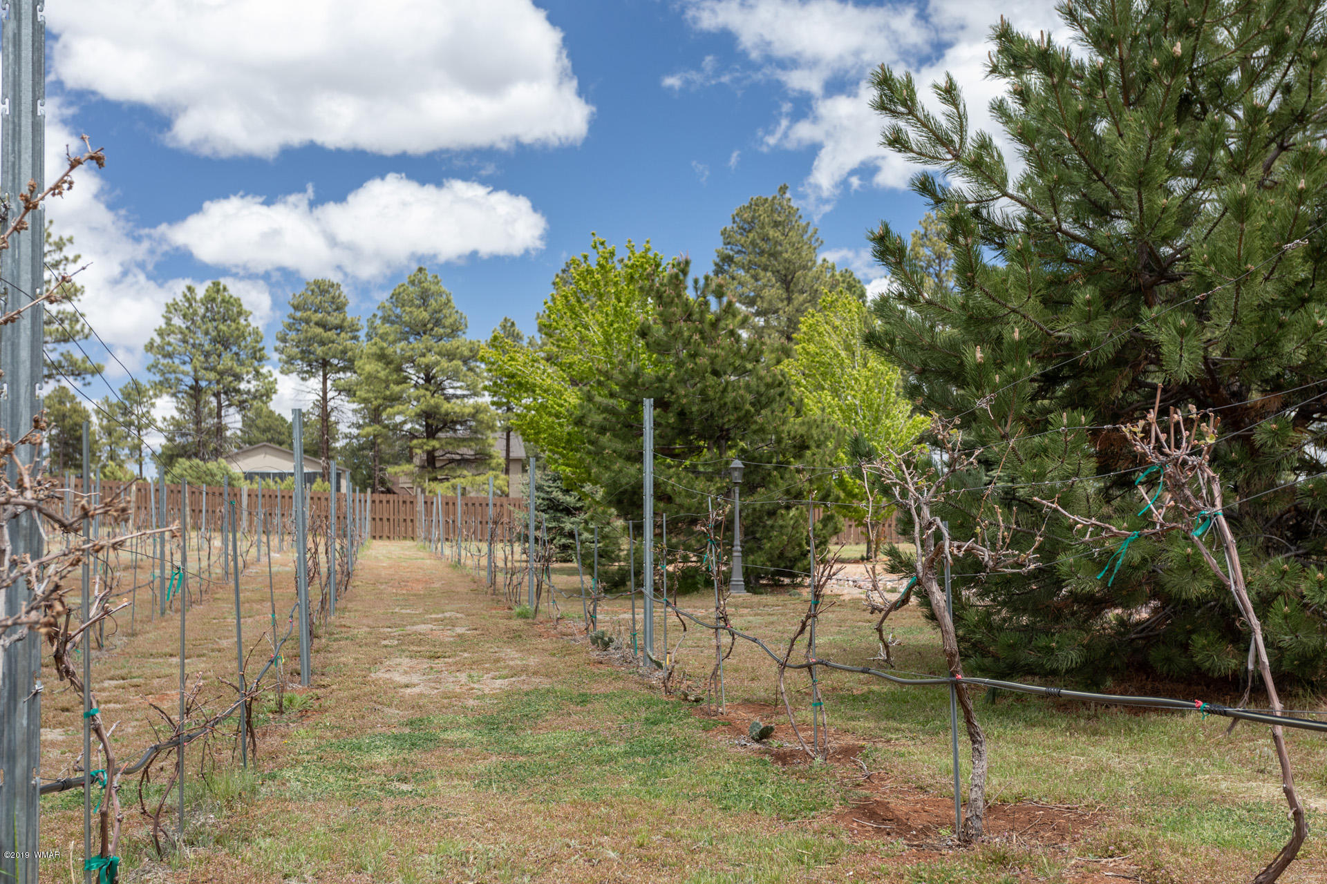 2272 Highway 260 Overgaard, AZ 85933 - Photo 30 of 43