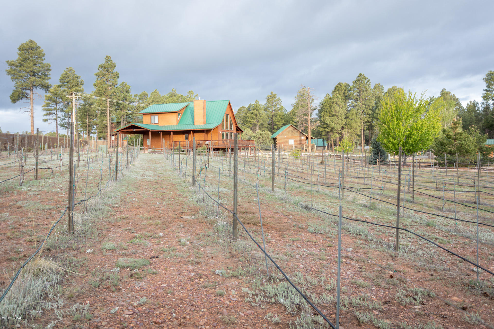 2272 Highway 260 Overgaard, AZ 85933 - Photo 34 of 43