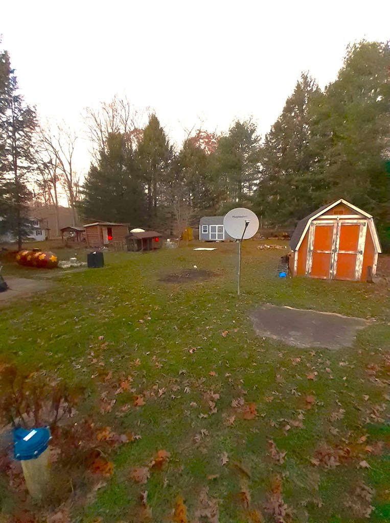906 Nebraska Road Tionesta, PA 16353 - Photo 3 of 15