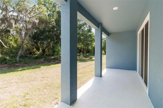 a view of backyard with large tree