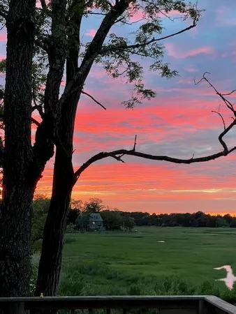 a view of a yard with wooden fence