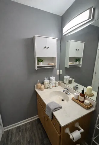 a bathroom with a sink vanity and a mirror