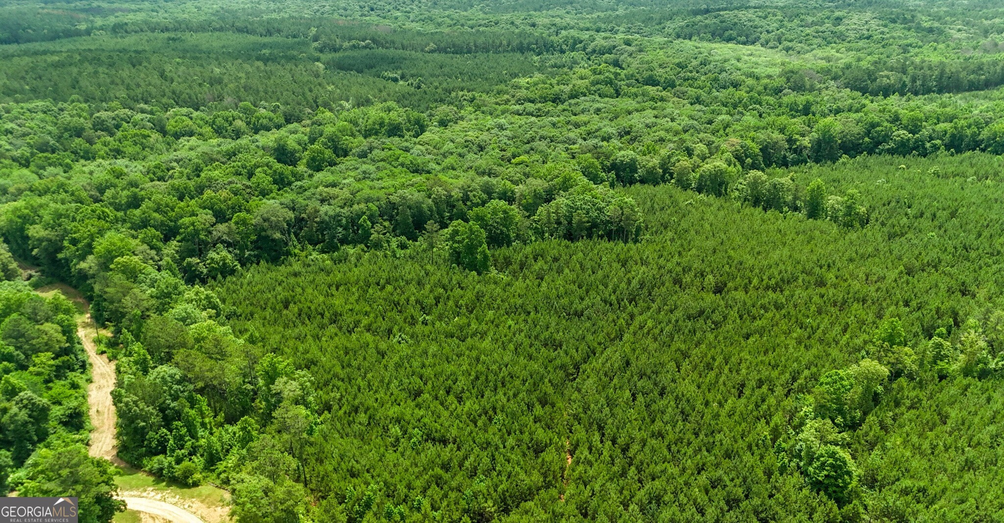 0 Noles Road Franklin, GA 30217 - Photo 11 of 21 a view of a lush green forest