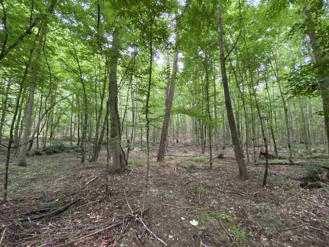 0 Bilbro Road Walnut Grove, MS 39189 - Photo 1 of 24 Photo 1