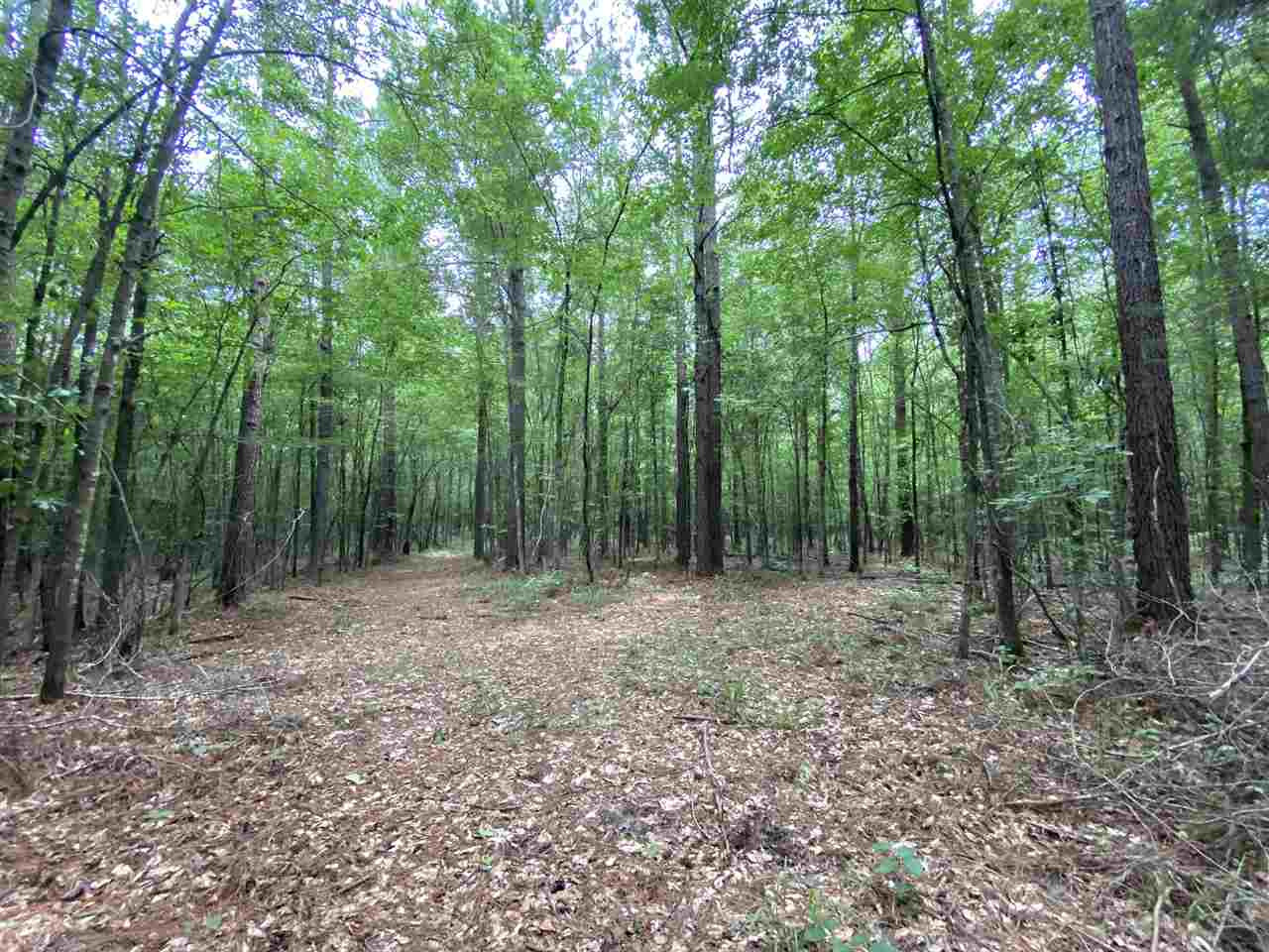 0 Bilbro Road Walnut Grove, MS 39189 - Photo 12 of 24 Photo 12