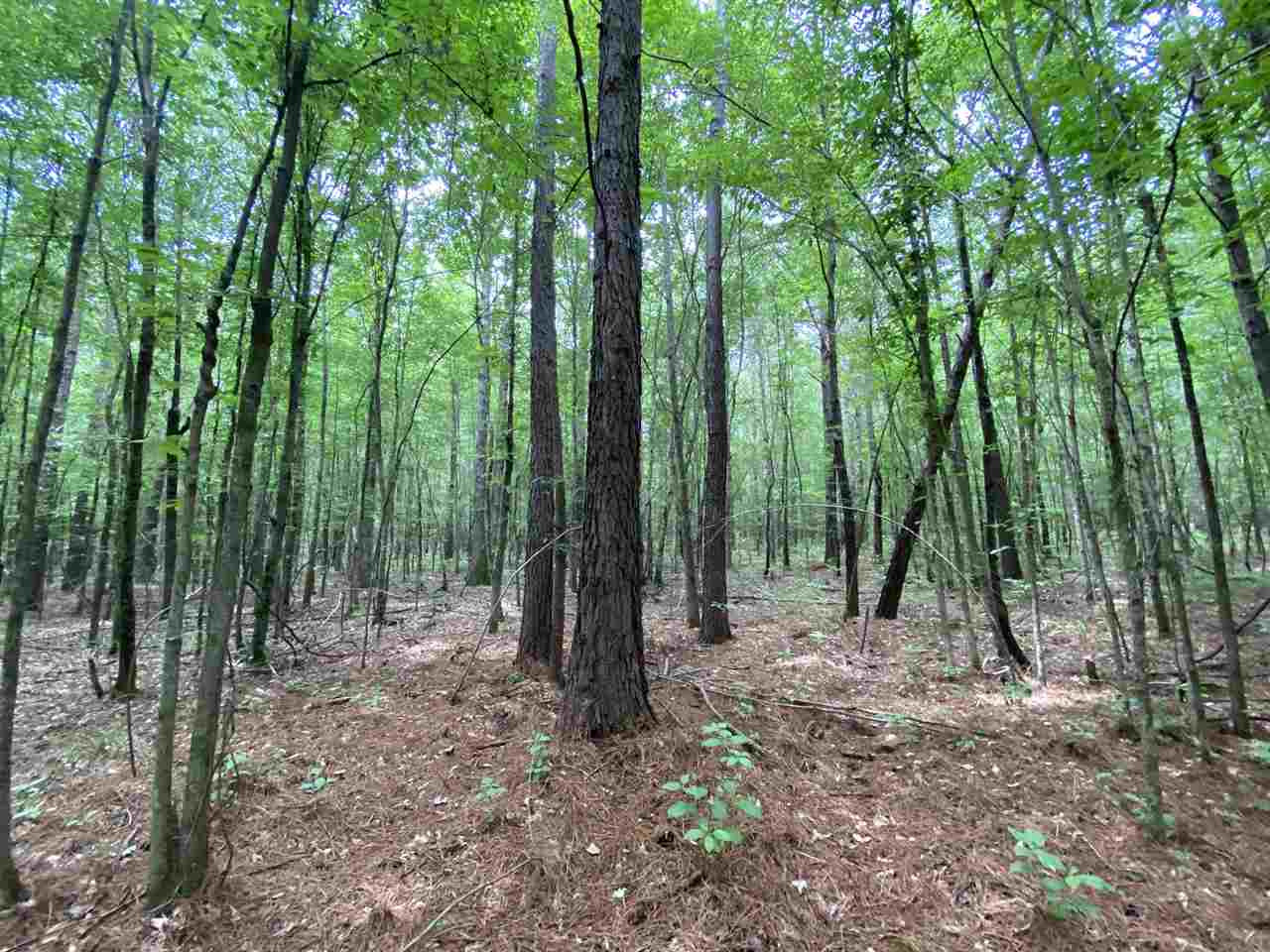 0 Bilbro Road Walnut Grove, MS 39189 - Photo 13 of 24 Photo 13