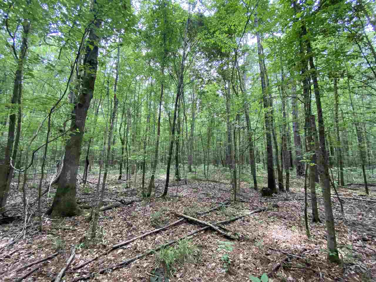 0 Bilbro Road Walnut Grove, MS 39189 - Photo 14 of 24 Photo 14