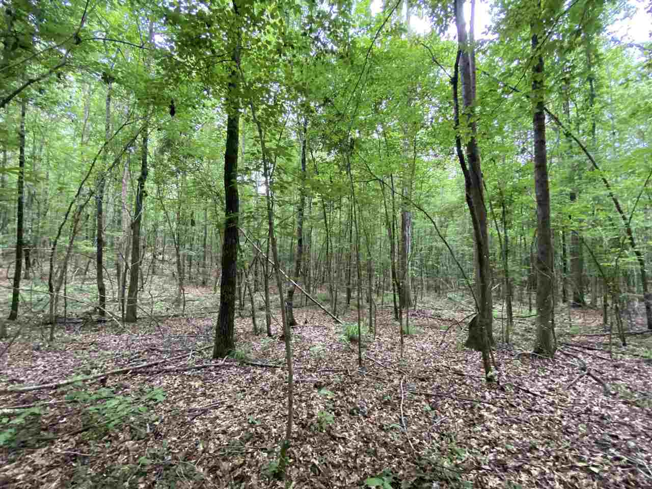 0 Bilbro Road Walnut Grove, MS 39189 - Photo 15 of 24 Photo 15