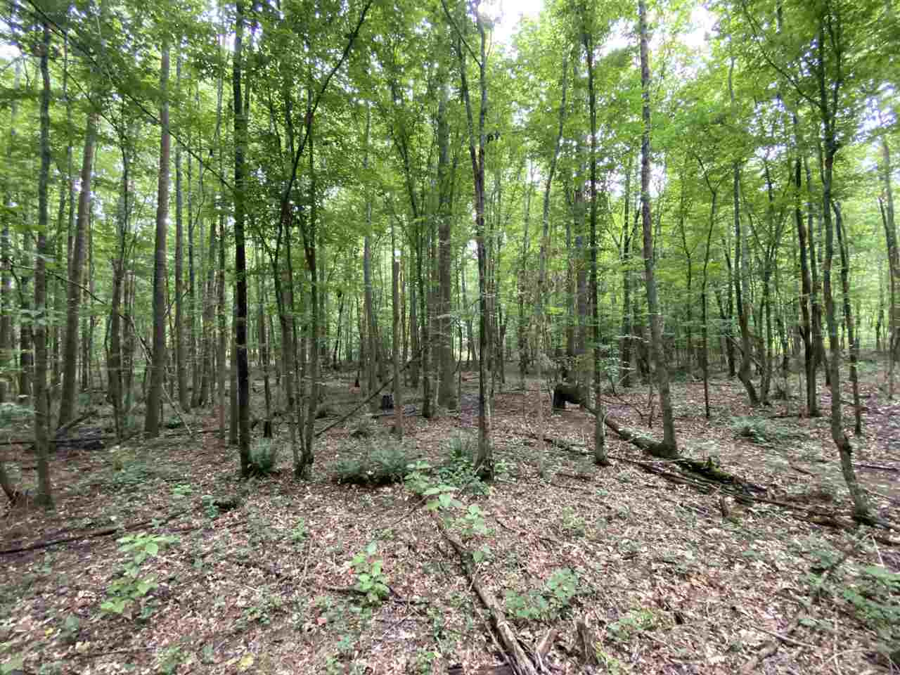 0 Bilbro Road Walnut Grove, MS 39189 - Photo 16 of 24 Photo 16