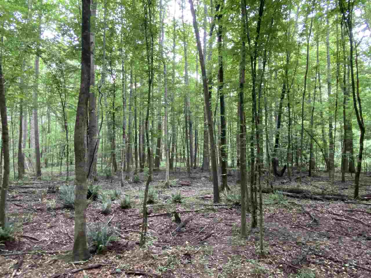 0 Bilbro Road Walnut Grove, MS 39189 - Photo 17 of 24 Photo 17