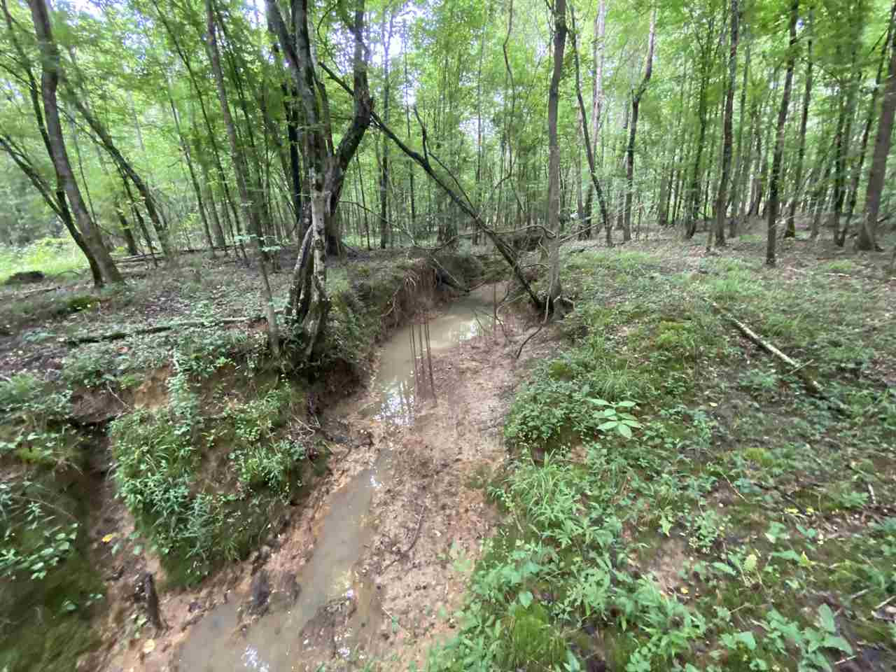 0 Bilbro Road Walnut Grove, MS 39189 - Photo 18 of 24 Photo 18