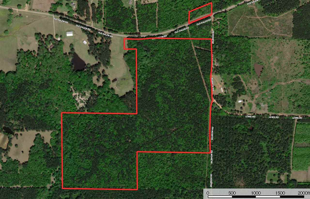 0 Bilbro Road Walnut Grove, MS 39189 - Photo 2 of 24 Photo 2