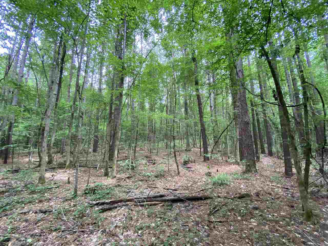 0 Bilbro Road Walnut Grove, MS 39189 - Photo 21 of 24 Photo 21